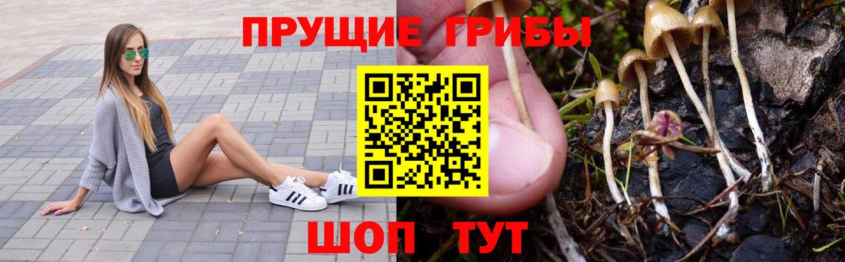 Галлюциногенные грибы Magic Shrooms  где найти   Каспийск  Вход с VPN 