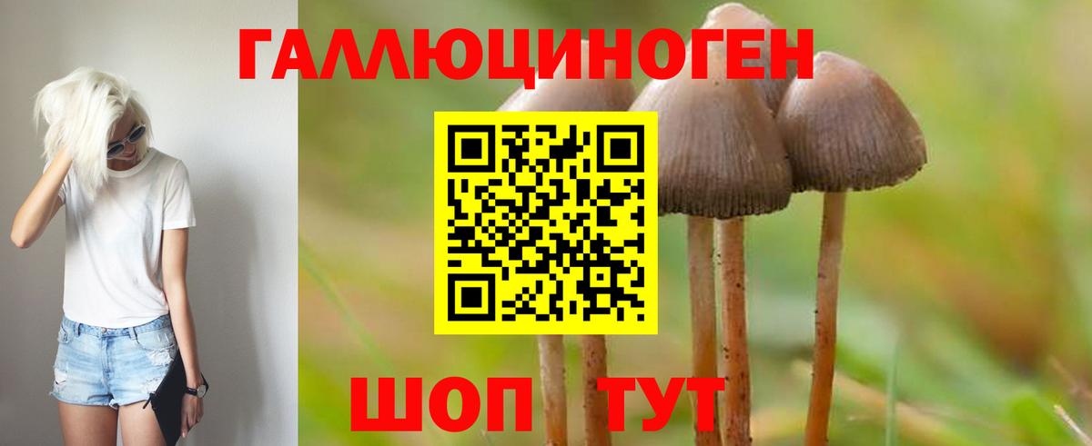 Галлюциногенные грибы Magic Shrooms Каспийск